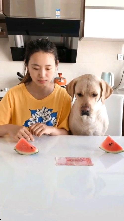 最近很火的吃瓜视频,一场全民参与的娱乐盛宴