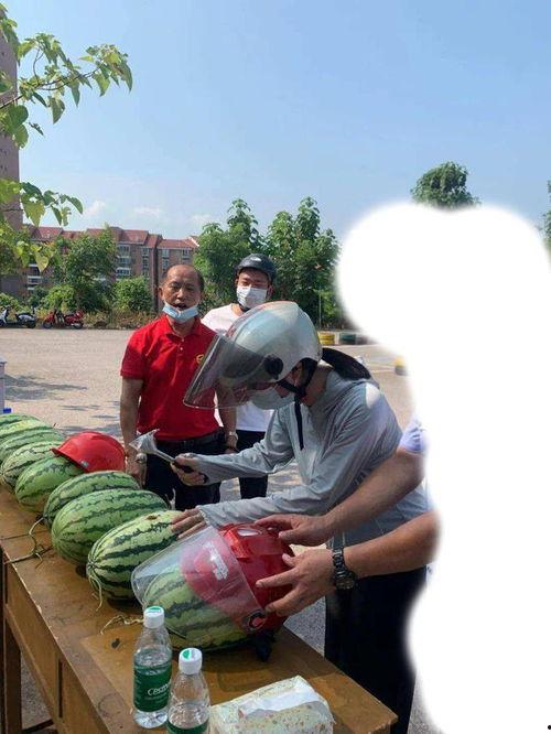 嘉祥吃瓜事件视频最新,一场网络狂欢背后的真相与反思