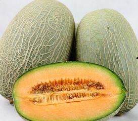 王小静吃哈密瓜视频在线观看,在线观看甜蜜瞬间