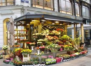 唐山花店吃瓜群众视频播放,揭秘背后故事