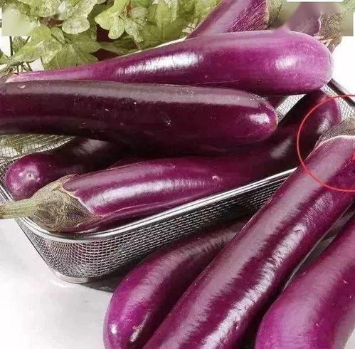 茄子吃瓜鬼畜视频,趣味横生的网络奇观