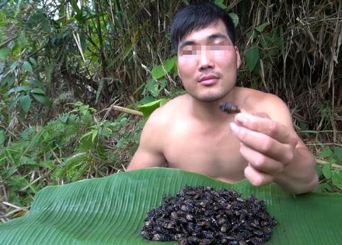 瓜哥表演吃虫子视频是真的吗,真相揭秘