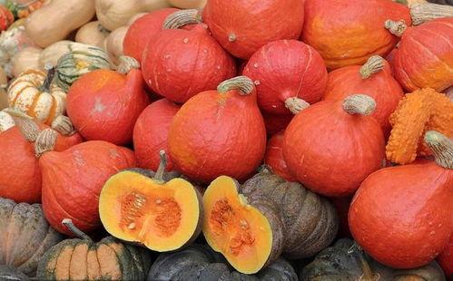 吃秋天瓜好吗有营养吗视频,吃瓜好处多，营养满满揭秘