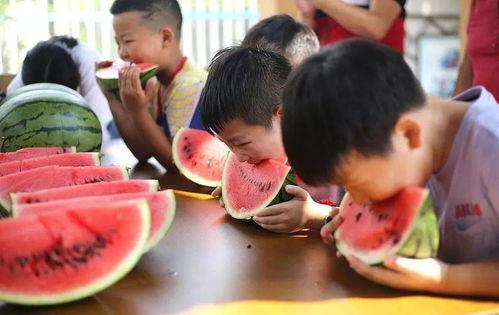 幼儿园吃瓜大赛视频