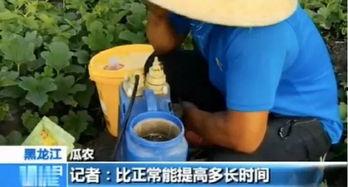 温岭吃瓜事情视频曝光最新,真相大白，网友热议