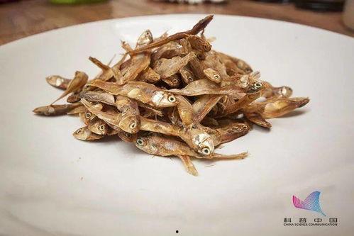 小鱼干吃瓜视频,揭秘娱乐圈幕后故事