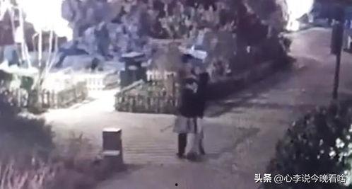 龙口东城吃瓜事件视频曝光,视频曝光揭示惊人真相