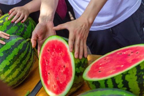 石油大学吃瓜视频,揭秘校园生活趣味瞬间